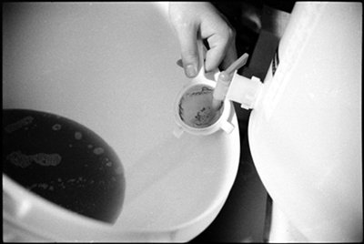 Photo d'une cuve de fermentation